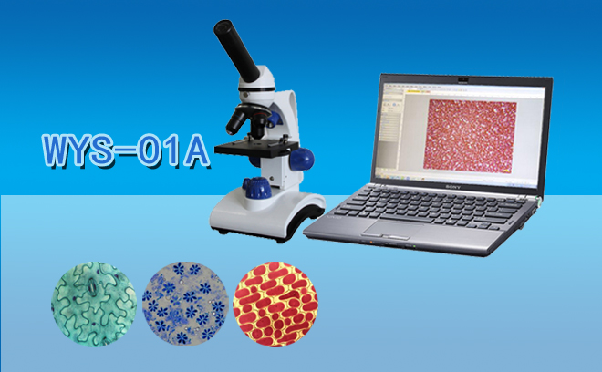 單目生物顯微鏡WYS-01A